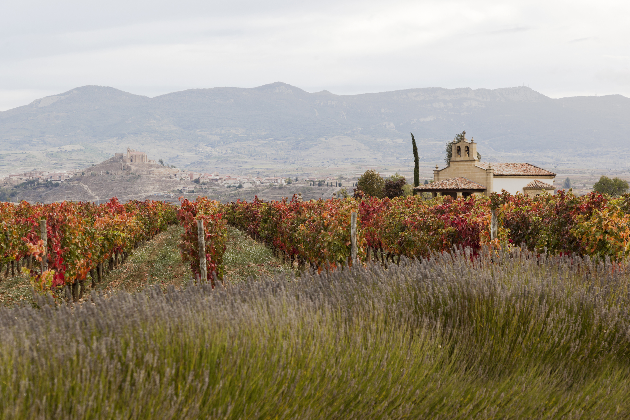 Los 15 Lugares Más Bonitos Que Ver En La Rioja Skyscanner - 